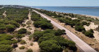 Grupo Insur refuerza su crecimiento en el litoral andaluz con la adquisición de suelo para 233 viviendas en Mazagón
