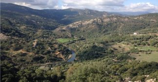 Los Alcornocales, un laboratorio natural donde Andalucía ensaya soluciones frente al cambio climático