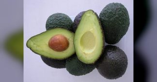 La producción de aguacate de Andalucía crece casi un 45% en volumen y un 35,5% en valor en 2025-2026