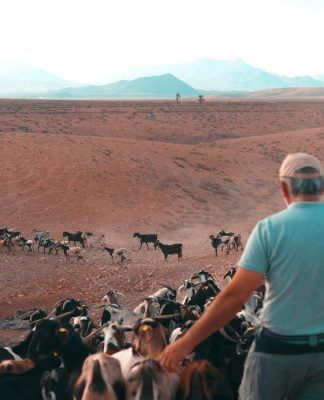 Canarias regula por primera vez el transporte terrestre en La Graciosa para preservar sus valores medioambientales
