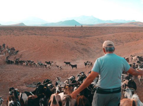 Canarias regula por primera vez el transporte terrestre en La Graciosa para preservar sus valores medioambientales