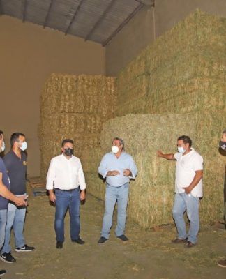 Reunion del Cabildo con representantes de los ganaderos