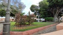 Un plan de empleo del Cabildo de Tenerife en Buenavista contratará a 22 personas desempleadas