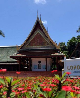 Loro Parque anuncia su reapertura tras más de 13 meses de cierre
