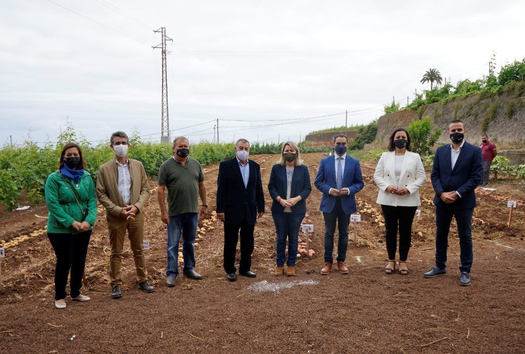 Fedola celebra ‘Papatour 2021’ abriendo nuevas puertas a la producción de papas en el mercado canario