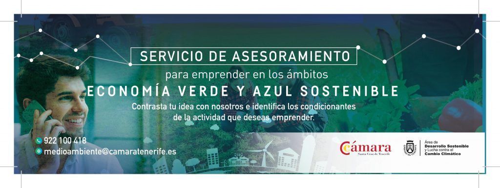 Tenerife se convierte en una oportunidad única para el empleo verde y azul sostenible
