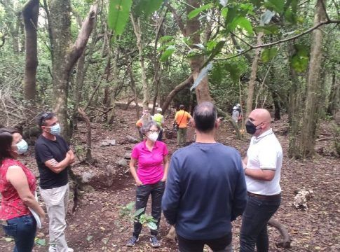 Gesplan y el Cabildo de Tenerife facilitan la realización de prácticas formativas en materia medioambiental