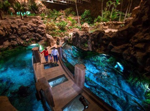 El gran acuario Poema del Mar amplía su horario de lunes a domingo