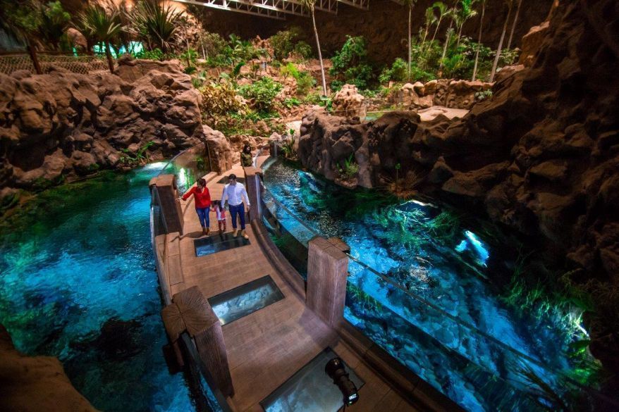 El gran acuario Poema del Mar amplía su horario de lunes a domingo