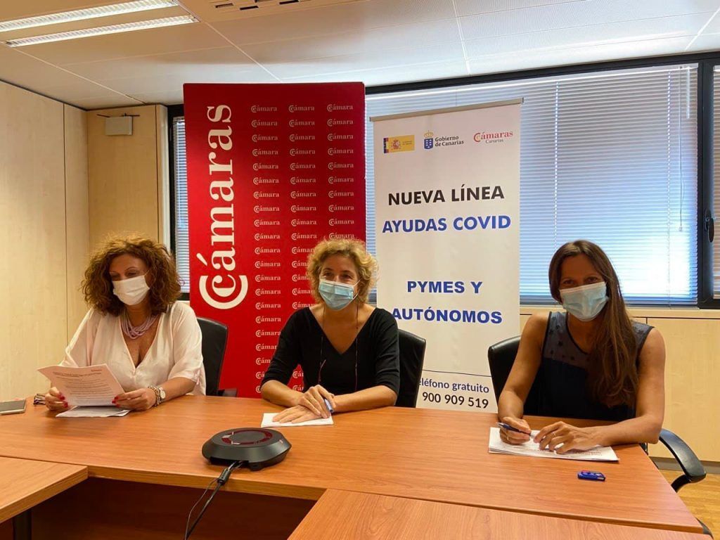 Jornada formativa sobre las ayudas Covid de la Cámara de Comercio y Cajasiete