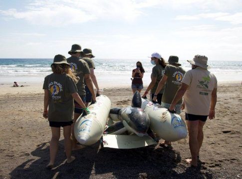 Voluntarios realizan un simulacro de varamiento masivo de cetáceos y emplean un pontón de rescate