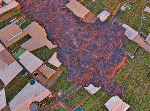 Acuerdan un ERTE que evita despidos masivos en el sector platanero de La Palma