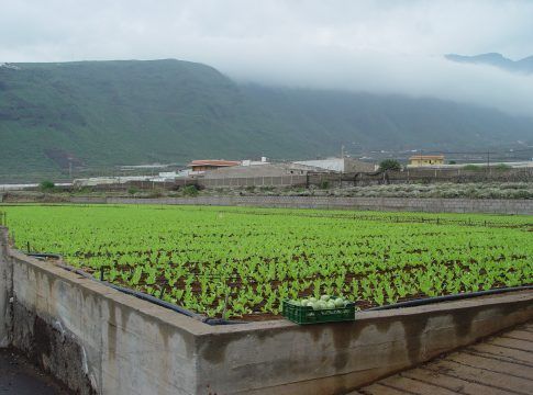 El Gobierno canario concede 8 millones en ayudas para abaratar el agua de uso agrícola