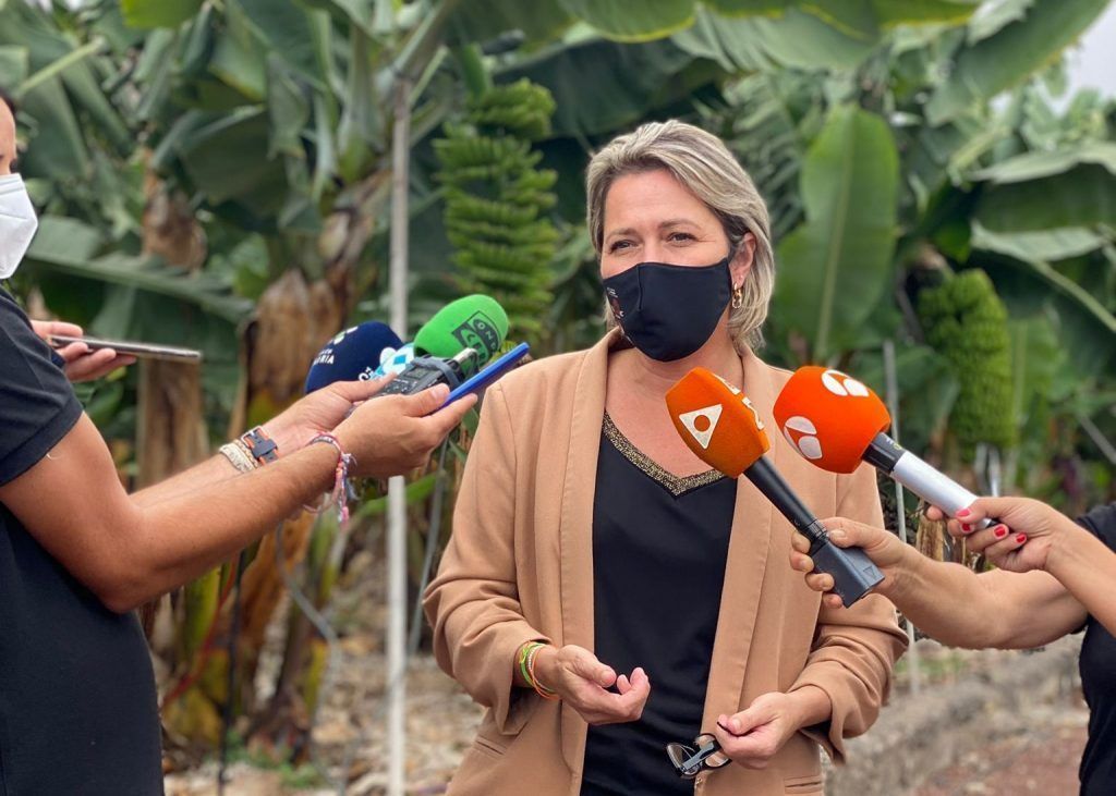 El Gobierno de Canarias garantiza las ayudas por las pérdidas en el sector agrario de La Palma