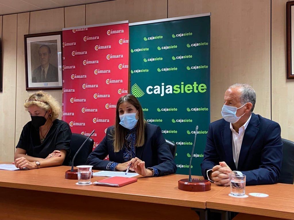 El comercio canario mejora sus ventas, pero no consigue recuperar las empresas y empleos perdidos