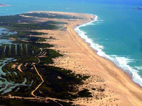 El Gobierno andaluz pone en marcha un proyecto piloto de carbono azul en la Bahía de Cádiz