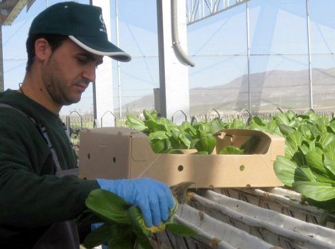 La Junta convoca ayudas por 80 millones para jóvenes agricultores y eleva la cuantía máxima