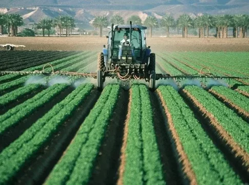 El sector agrario andaluz “no puede más” y retoma las movilizaciones “por la grave crisis de precios y la insoportable subida de costes”