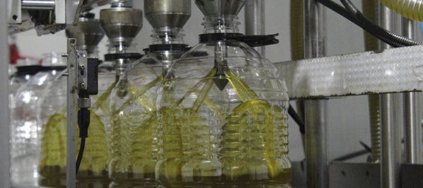 La producción de aceite de oliva de España rondará 1.250.000 toneladas, según UPA Andalucía