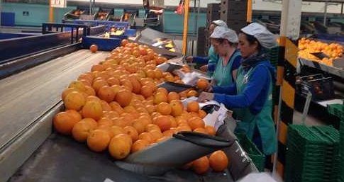 Preocupación en el sector agrario por las implicaciones de la reforma laboral 