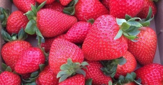 Huelva, la segunda provincia andaluza exportadora de frutas durante enero y octubre de 2021
