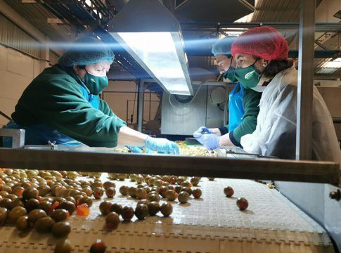 Empleo convocará en el primer trimestre nuevas ayudas para cooperativas con 8,32 millones￼