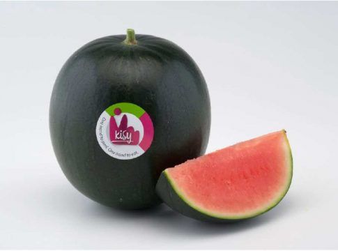 Agroponiente ya trabaja en firme con sus técnicos y agricultores en lo que espera que será una gran campaña de Primavera
