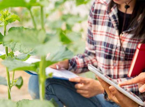 Tres millones de euros en ayudas para mejorar las competencias digitales del sector agroalimentario