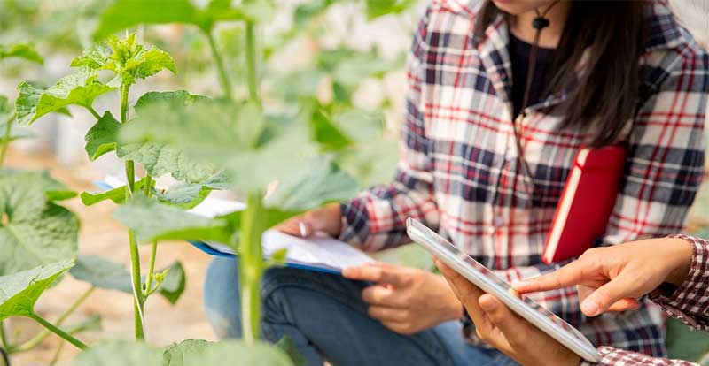 Tres millones de euros en ayudas para mejorar las competencias digitales del sector agroalimentario