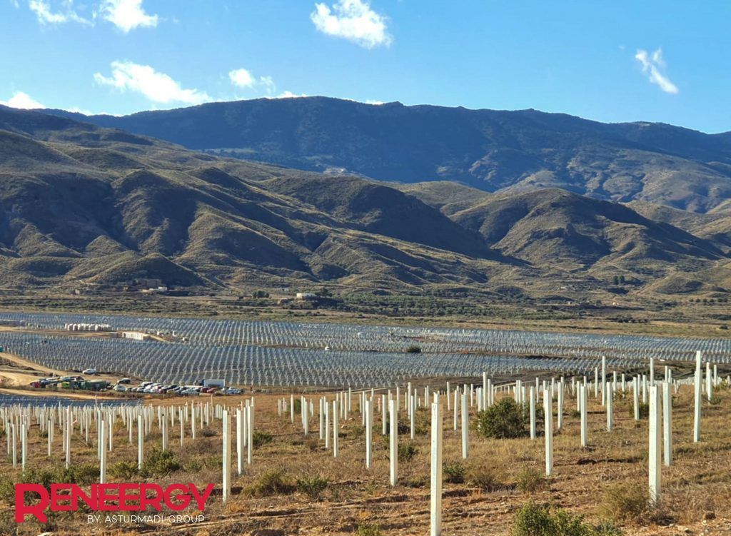 Almería acogerá cuatro parques solares con una capacidad total instalada de 180 MW bajo el nombre de proyecto Tinosa