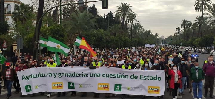Más de 15.000 agricultores y ganaderos dicen «basta al expolio al campo andaluz»