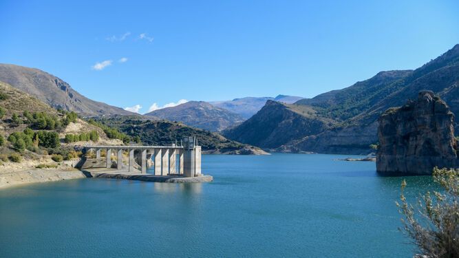 Los regantes advierten que la sequía traerá la ruina económica y desempleo al medio rural andaluz y exigen obras de regulación urgentes para paliar el déficit hídrico reconocido por las propias administraciones