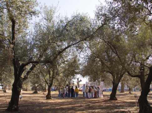 La Fundación Juan Ramón Guillén reanuda el programa de cultura aceitera Planeta Olivo tras dos años suspendido por la pandemia
