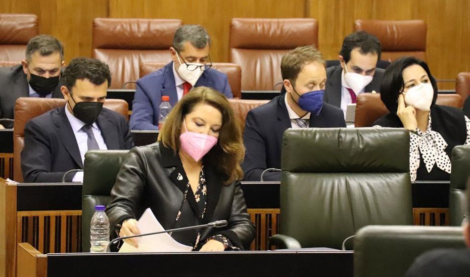 Crespo subraya las medidas de la Junta para el sector agrario y ofrece Andalucía como "granero" cultivando barbechos