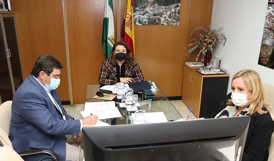 Andalucía urge al Gobierno a bajar los impuestos al sector agrario para afrontar los costes desorbitados
