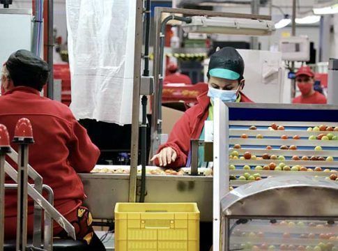 COAG Andalucía advierte que la sequía se carga la campaña de hortícolas para industria