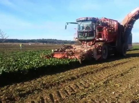 COAG denuncia que Azucarera incumple los acuerdos interprofesionales en el sector de la remolacha