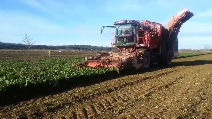 COAG denuncia que Azucarera incumple los acuerdos interprofesionales en el sector de la remolacha