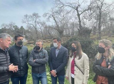 Instan a la Junta a aprobar el Plan Estratégico del Castañar, clave para la subsistencia del sector en la provincia