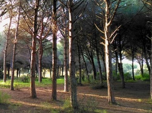 El IAJ abre el plazo de solicitudes para los campamentos juveniles de verano