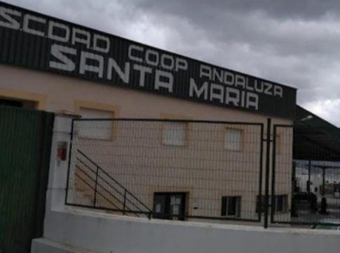 Grupo Interóleo aumenta la comercialización de aceite de oliva con la entrada de la SCA Santa María de Pegalajar