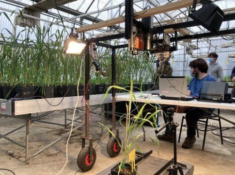 El Máster de Agricultura Digital e Innovación Agroalimentaria, referente en la Universidad de la región húngara de Transdanubia