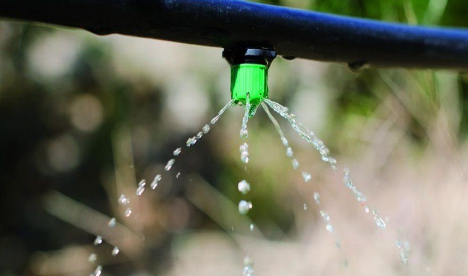 La Junta respalda el uso eficiente del agua y de la energía en el campo con 40,5 millones