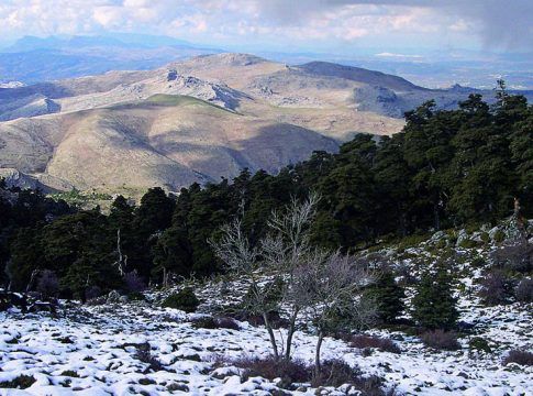 En marcha actuaciones por más de 12 millones de euros en el Parque Nacional Sierra de las Nieves