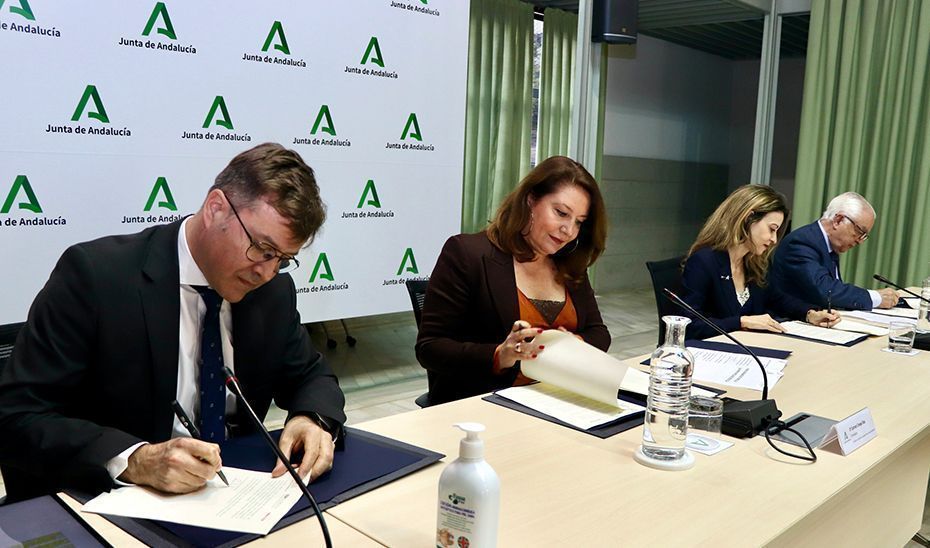 Acuerdo marco para impulsar la I+D+i en el cultivo del algodón en el campo andaluz