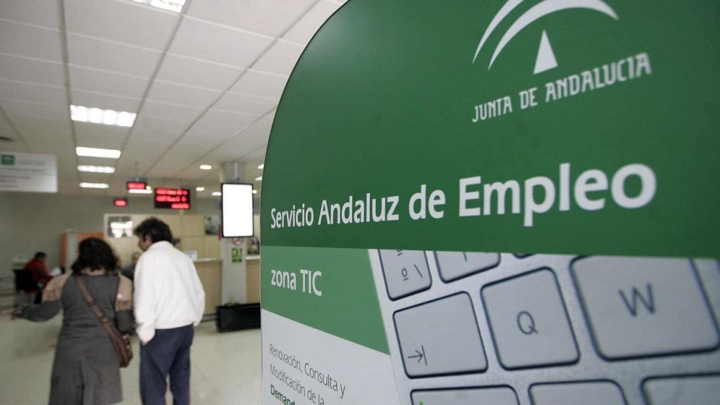 Empleo facilitará la primera experiencia laboral a 850 jóvenes desempleados con contratos en prácticas en el sector público