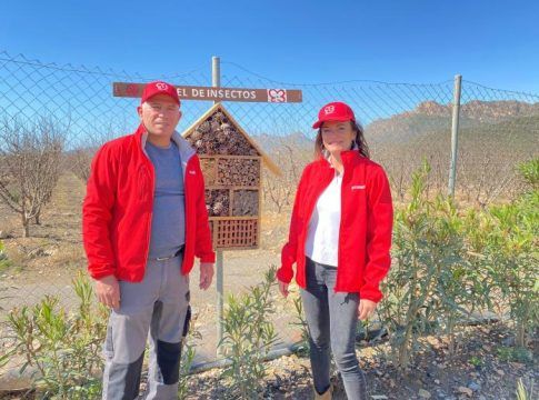 Primaflor contribuye al equilibrio del ecosistema con la colocación de varios hoteles de insectos