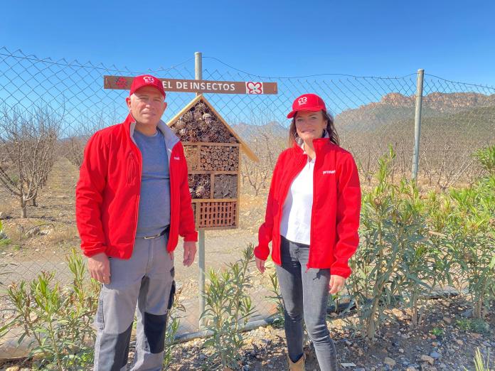 Primaflor contribuye al equilibrio del ecosistema con la colocación de varios hoteles de insectos