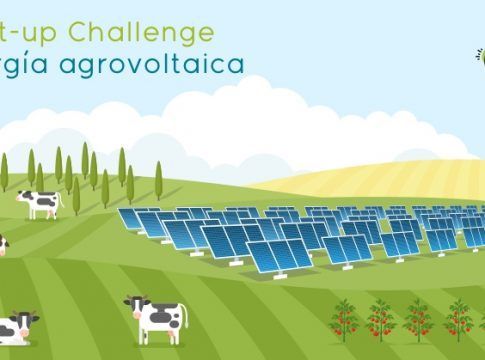 ESGeo España desarrolla Winesolar, un proyecto sostenible de energía fotovoltaica puesto en marcha en un viñedo de González Byass