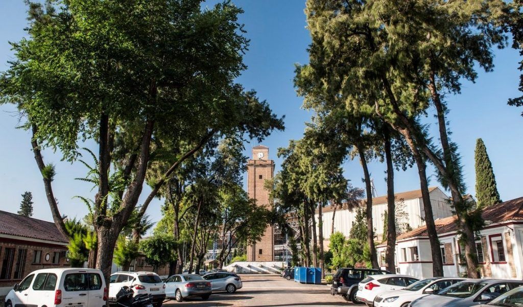 La Autoridad Portuaria de Sevilla aprueba nuevas concesiones en puerto-ciudad y Astilleros